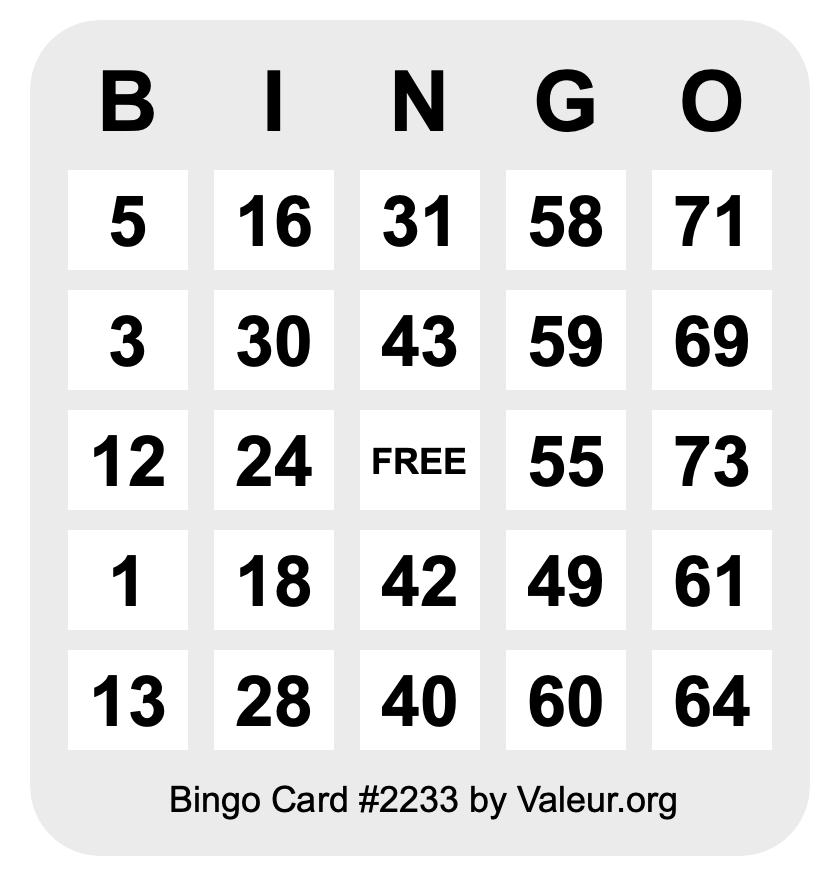 Bingo Card #2233