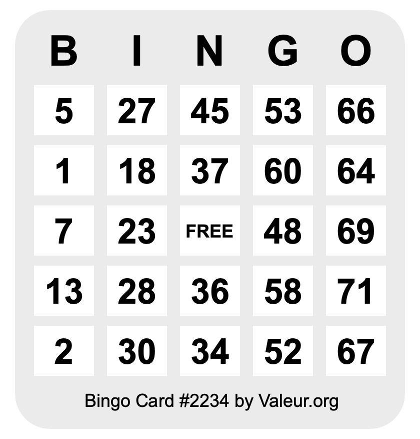 Bingo Card #2234