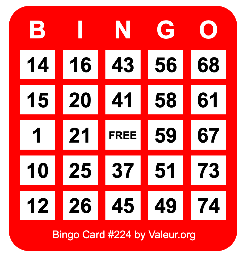 Bingo Card #224 Bingo Card #224