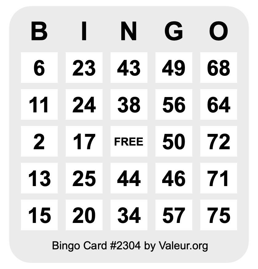 Bingo Card #2304
