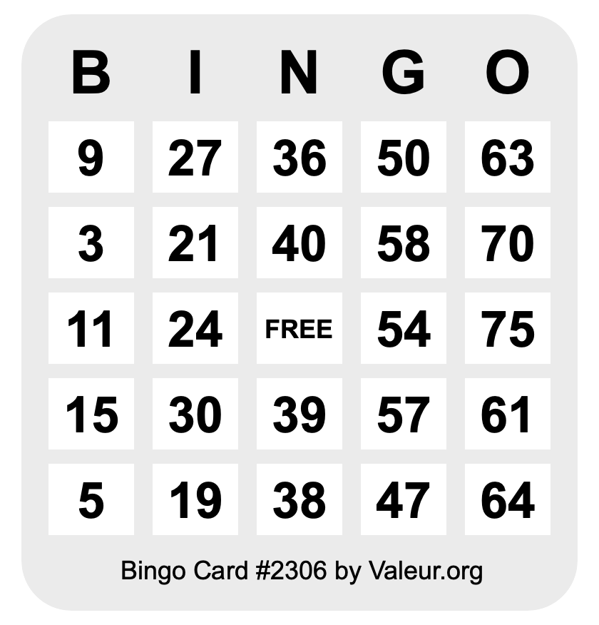 Bingo Card #2306