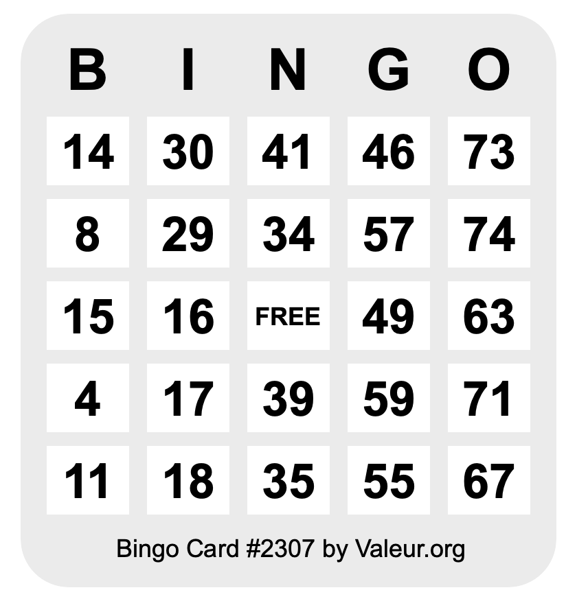 Bingo Card #2307