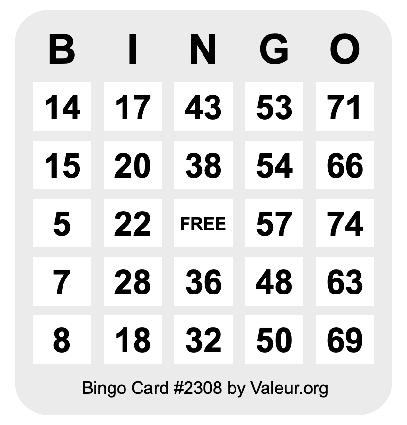 Bingo Card #2308