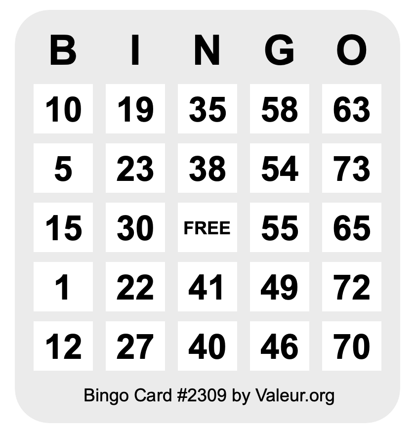 Bingo Card #2309