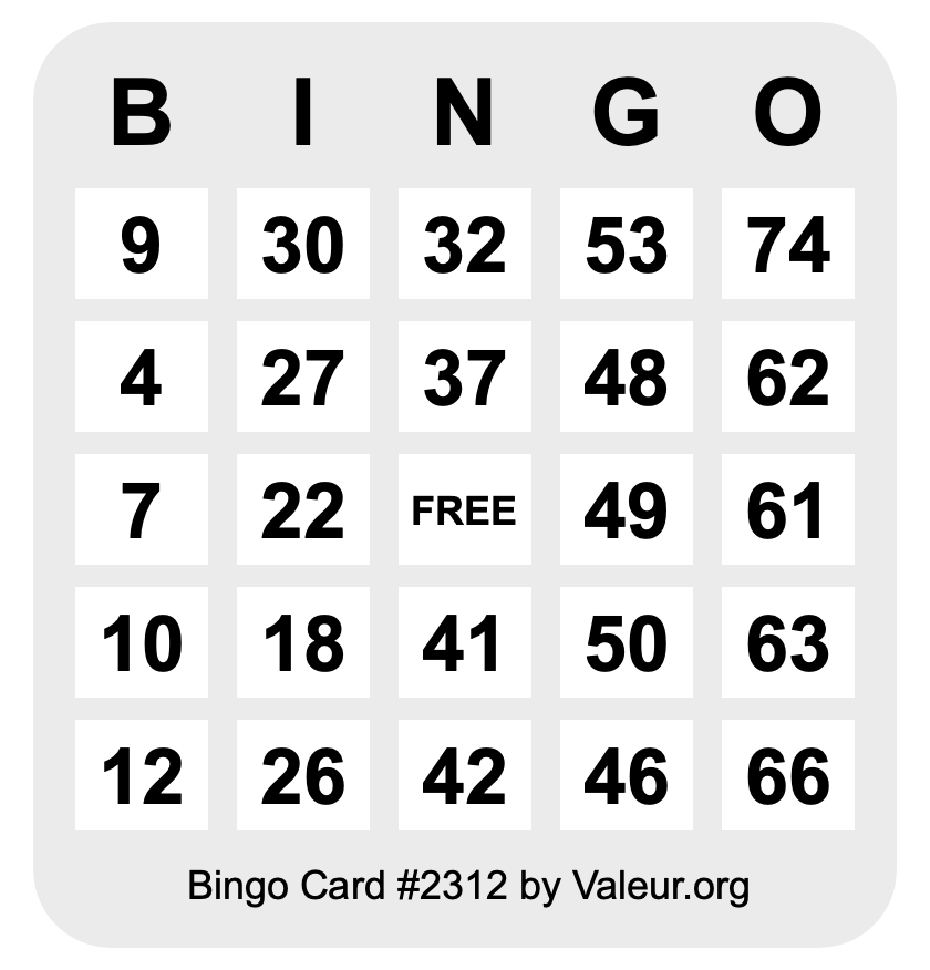 Bingo Card #2312 Bingo Card #2312