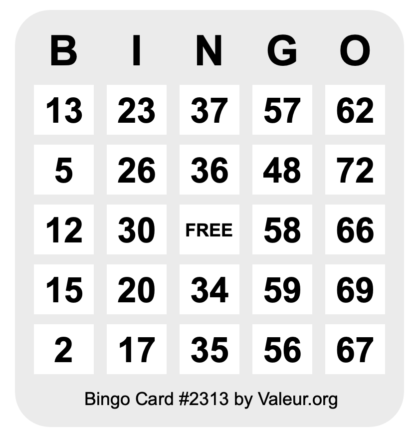 Bingo Card #2313