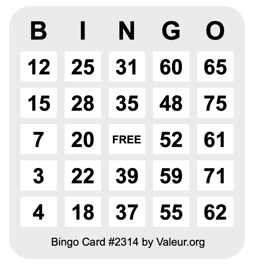 Bingo Card #2314