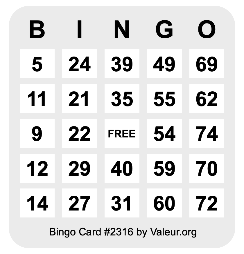 Bingo Card #2316