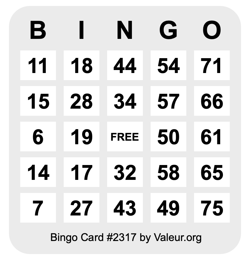 Bingo Card #2317