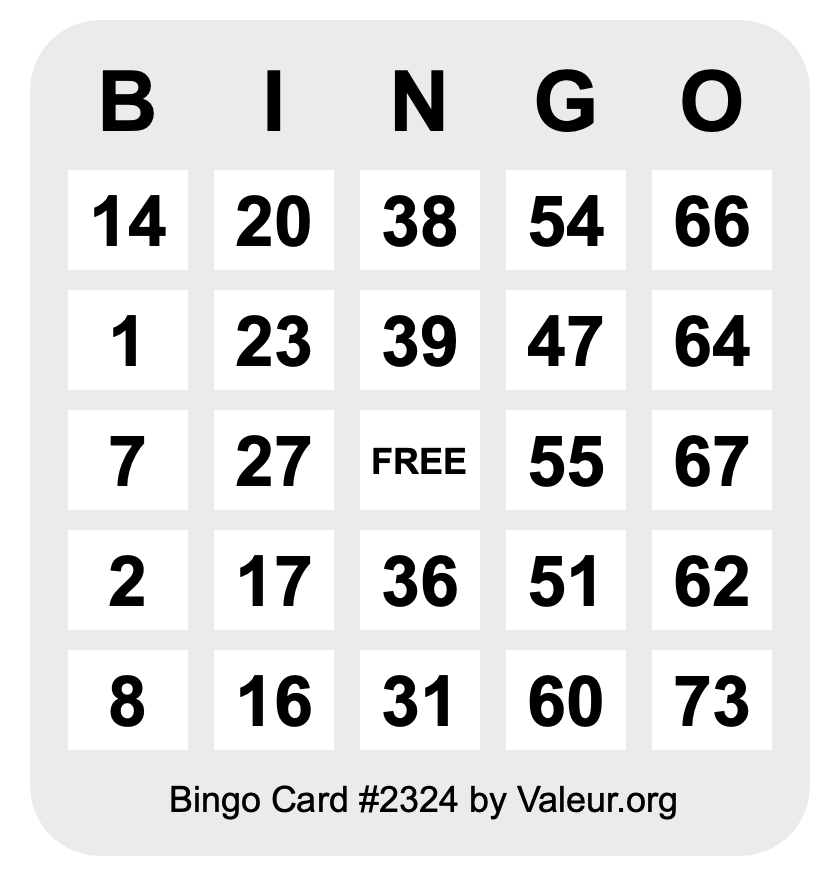 Bingo Card #2324