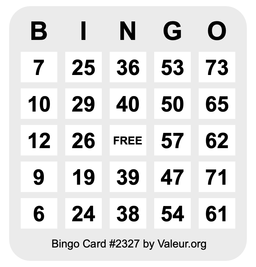 Bingo Card #2327 Bingo Card #2327
