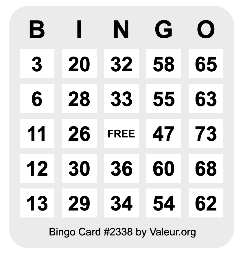 Bingo Card #2338 Bingo Card #2338