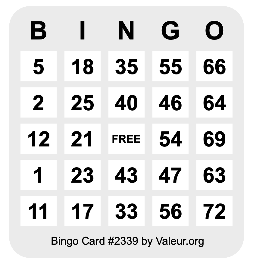 Bingo Card #2339
