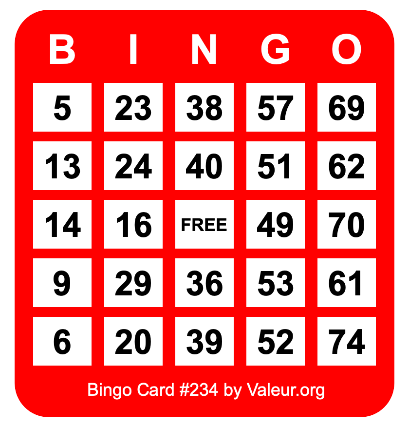Bingo Card #234 Bingo Card #234