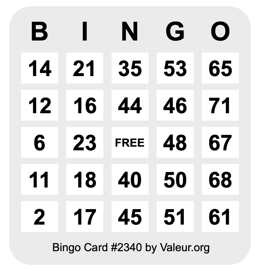 Bingo Card #2340