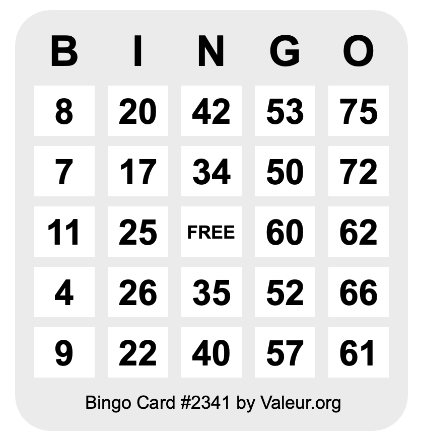 Bingo Card #2341