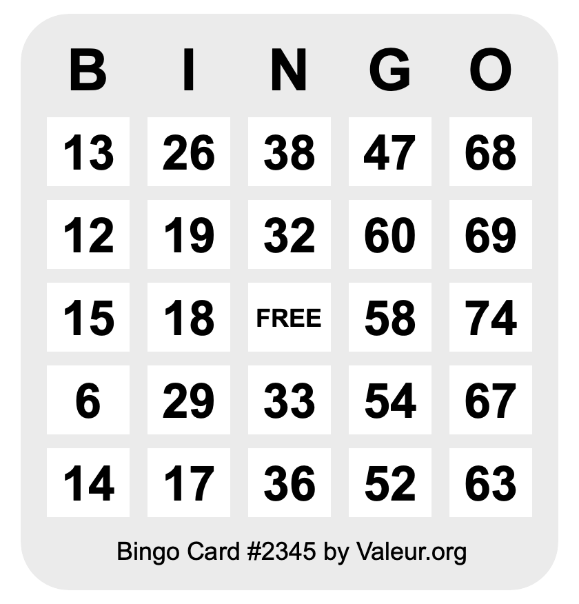 Bingo Card #2345 Bingo Card #2345