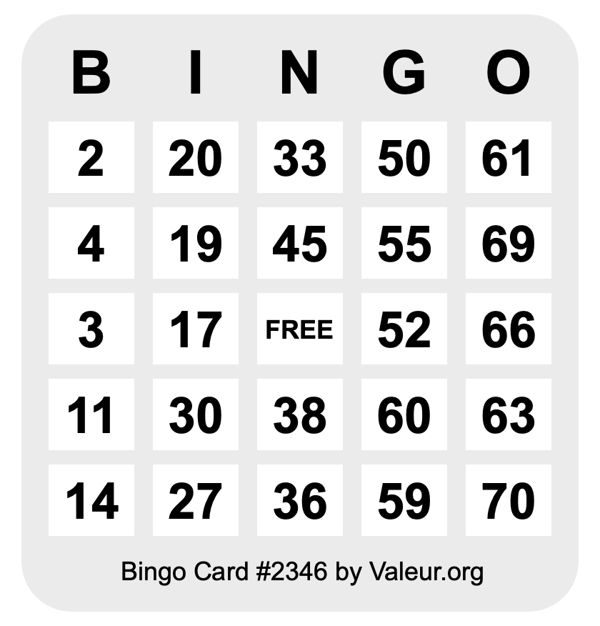 Bingo Card #2346 Bingo Card #2346