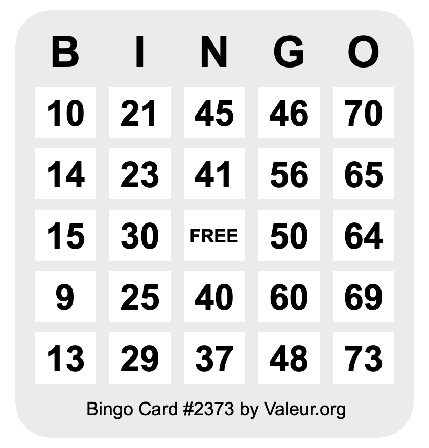 Bingo Card #2373 Bingo Card #2373