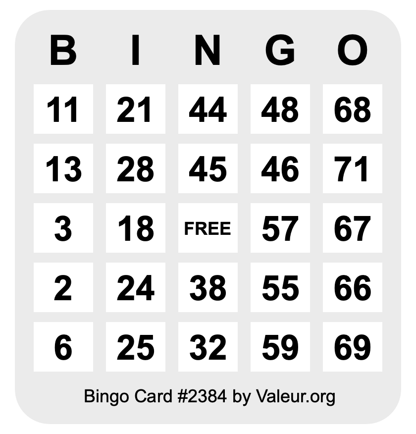 Bingo Card #2384 Bingo Card #2384