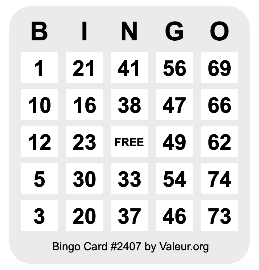 Bingo Card #2407