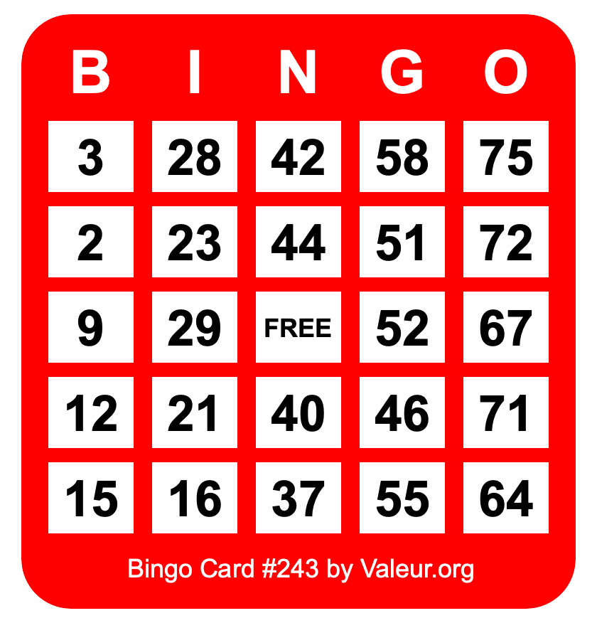 Bingo Card #243