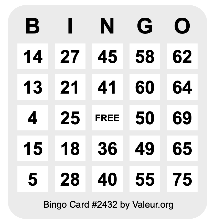 Bingo Card #2432