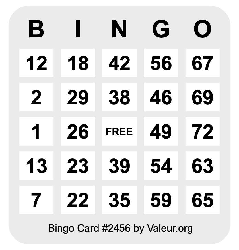 Bingo Card #2456