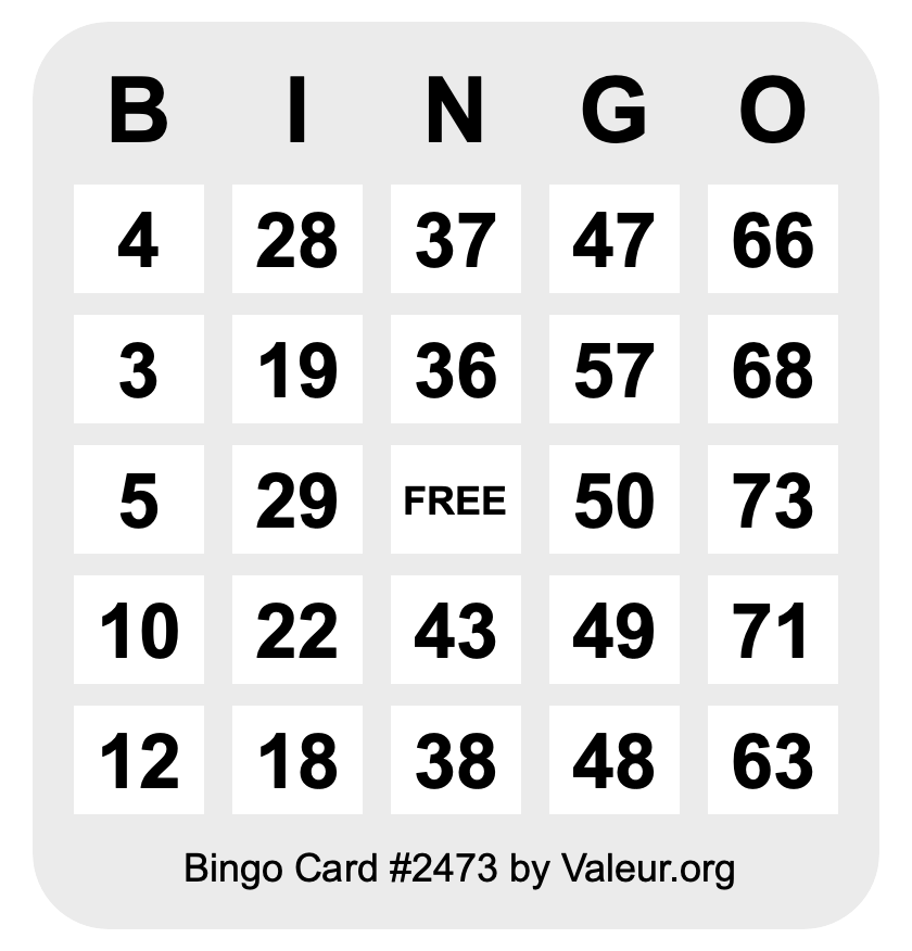 Bingo Card #2473