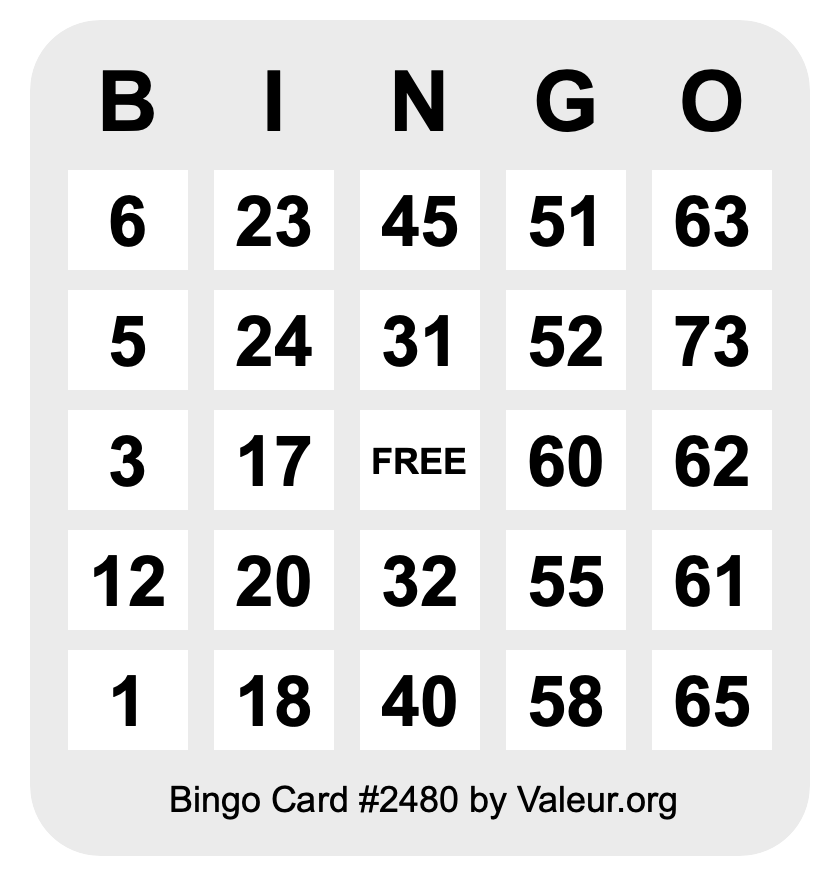 Bingo Card #2480