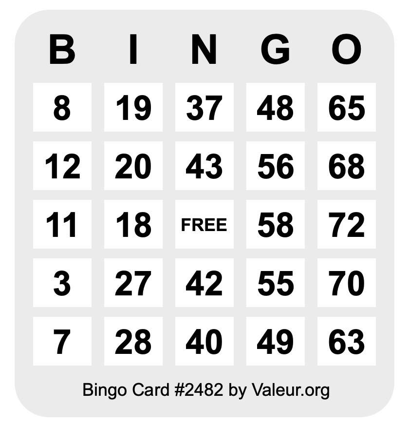Bingo Card #2482