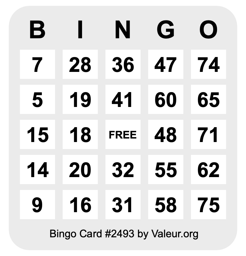 Bingo Card #2493