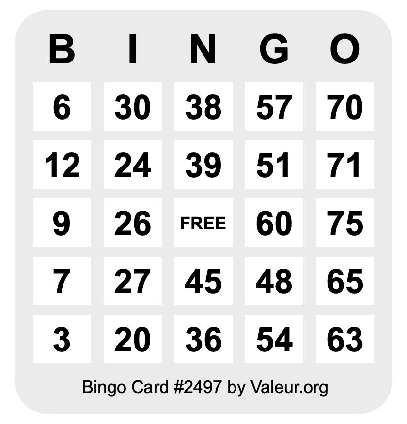 Bingo Card #2497