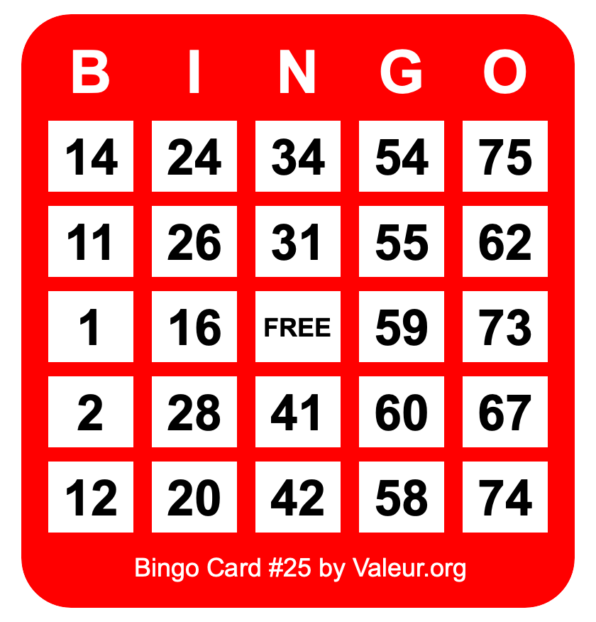 Bingo Card #25