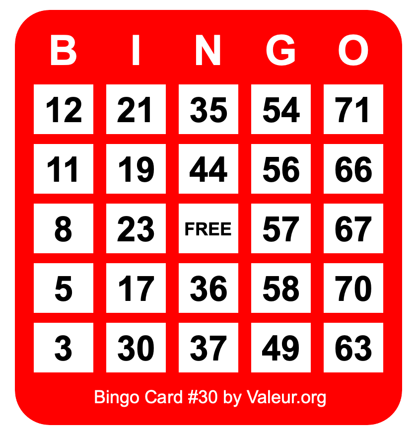 Bingo Card #30 Bingo Card #30