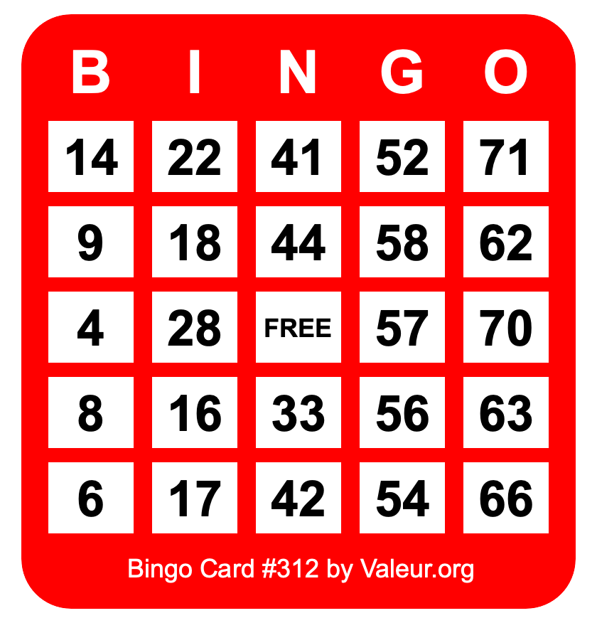 Bingo Card #312