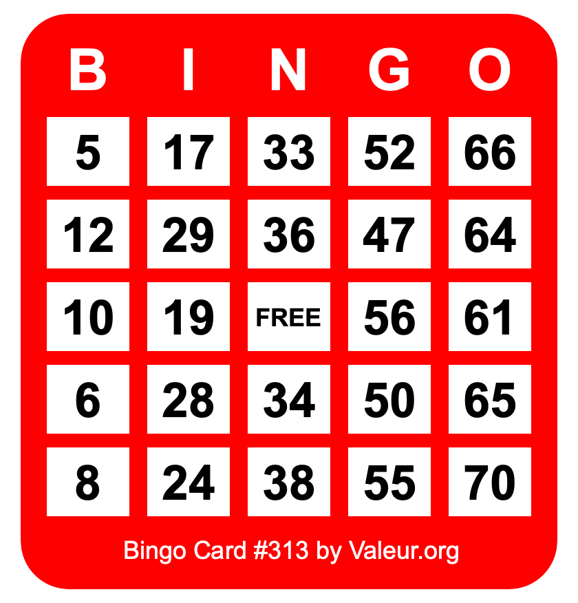 Bingo Card #313