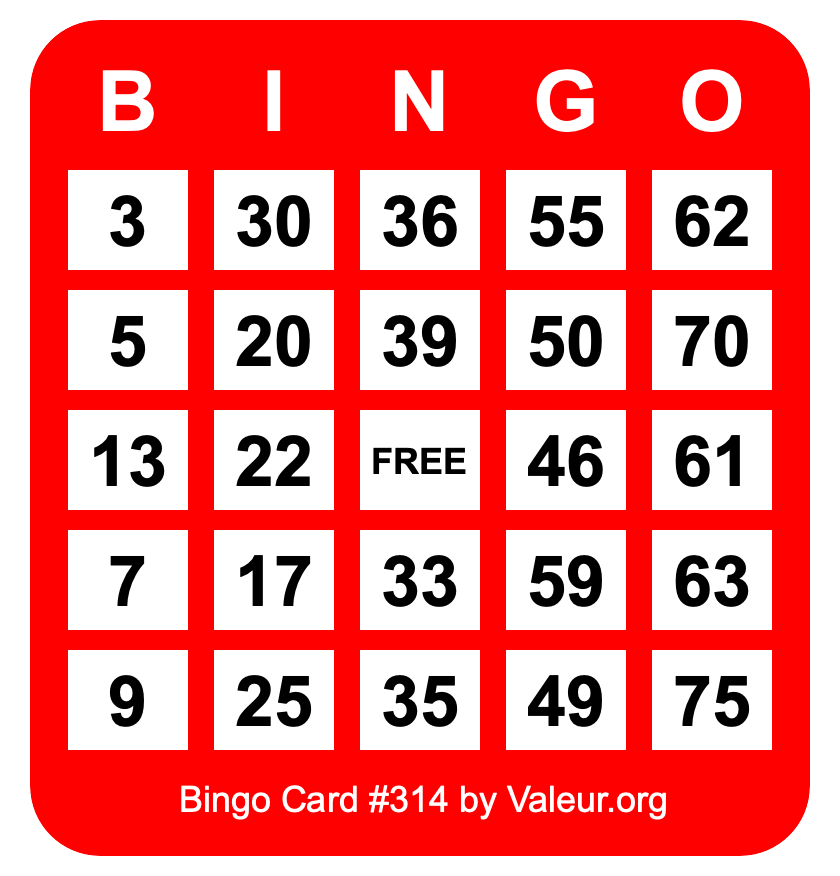 Bingo Card #314