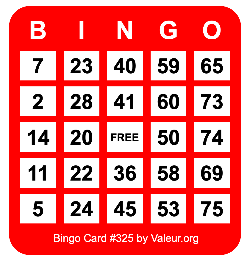 Bingo Card #325