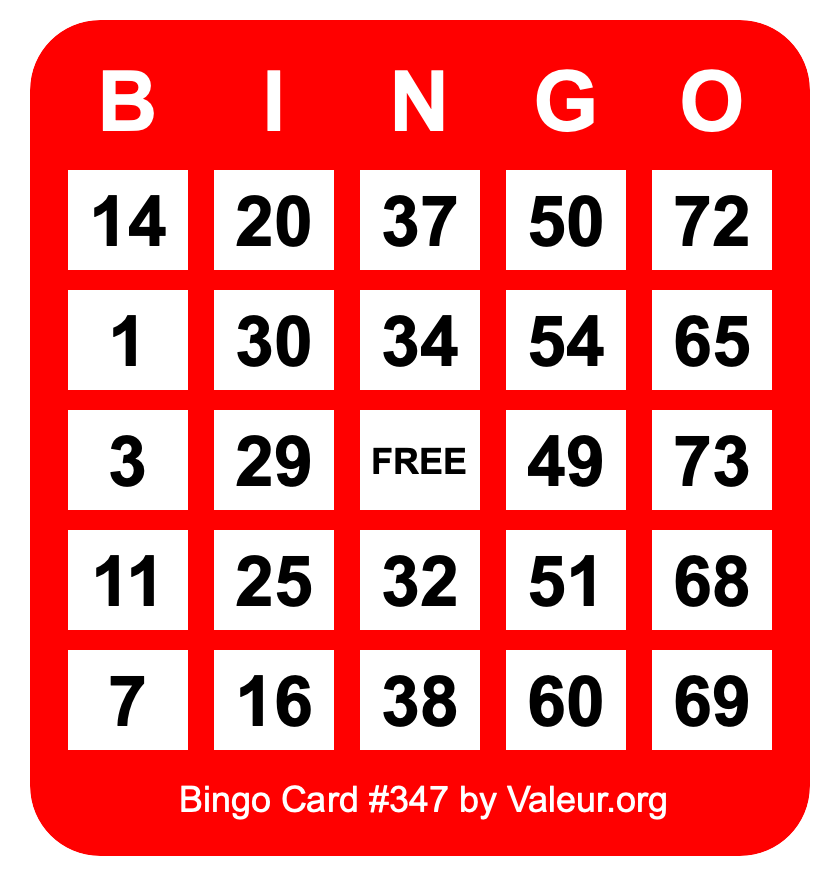 Bingo Card #347