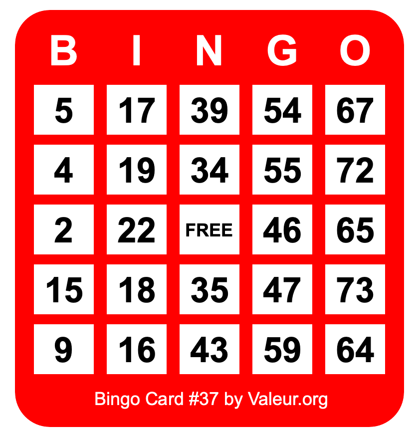 Bingo Card #37