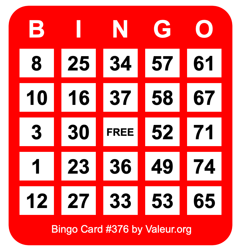 Bingo Card #376