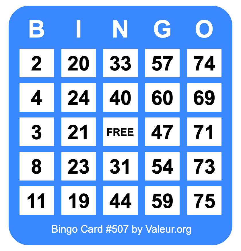 Bingo Card #507