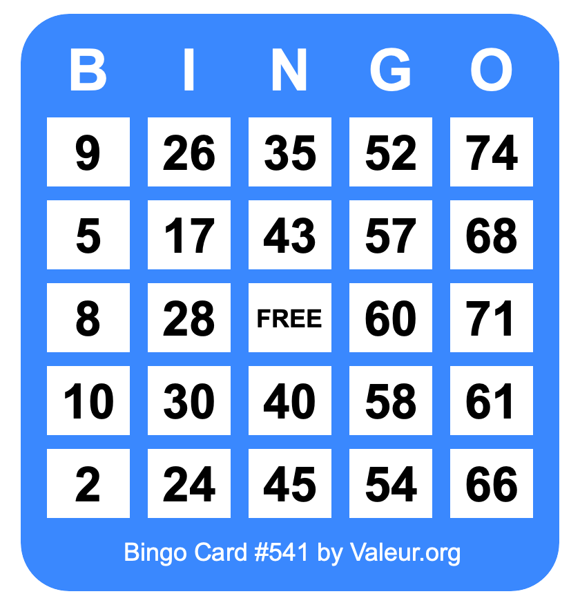 Bingo Card #541