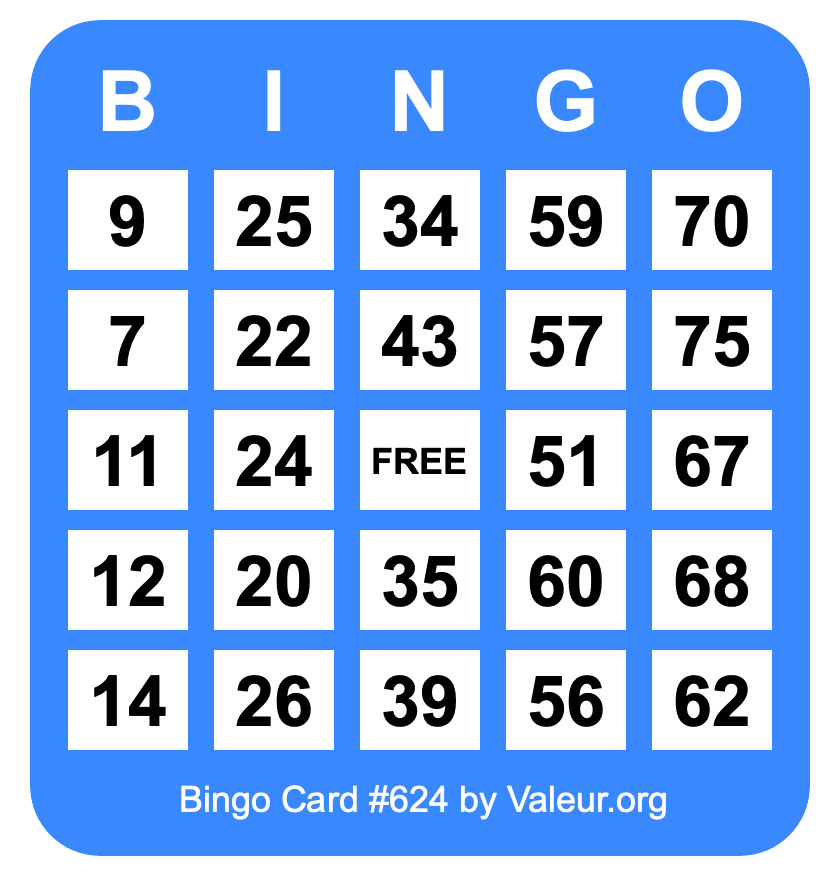Bingo Card #624