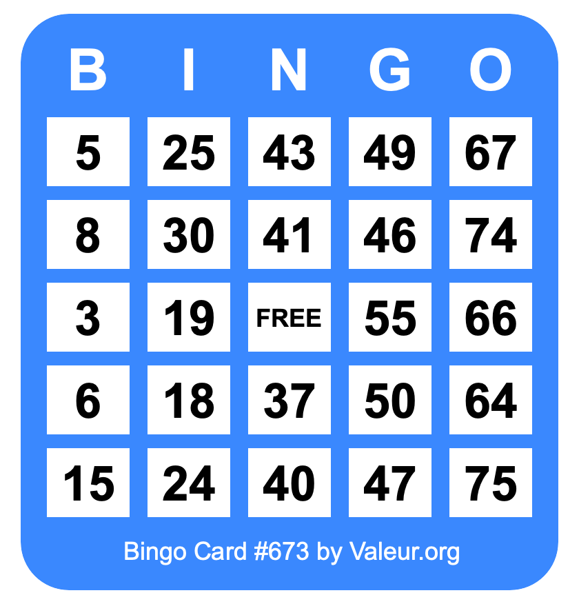 Bingo Card #673
