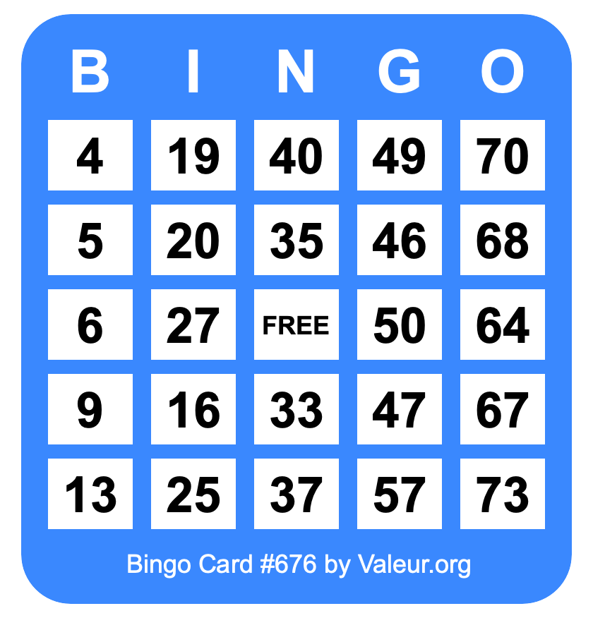 Bingo Card #676
