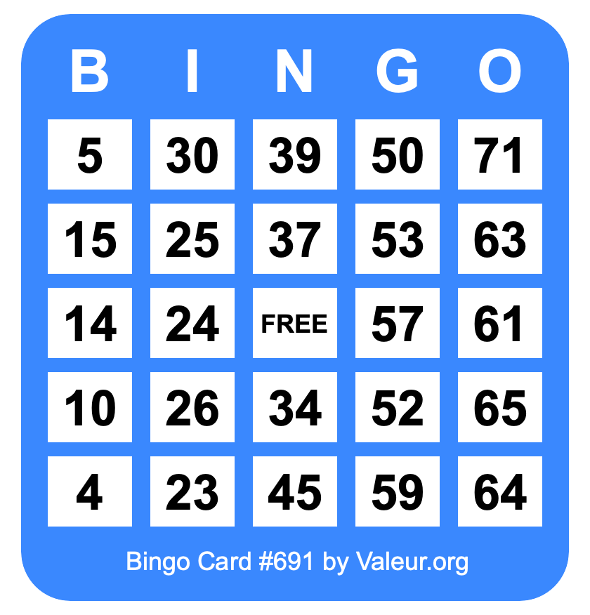 Bingo Card #691