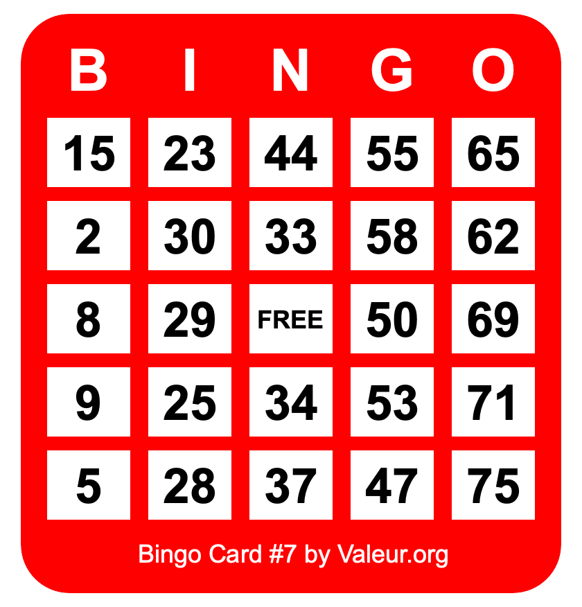 Bingo Card #7