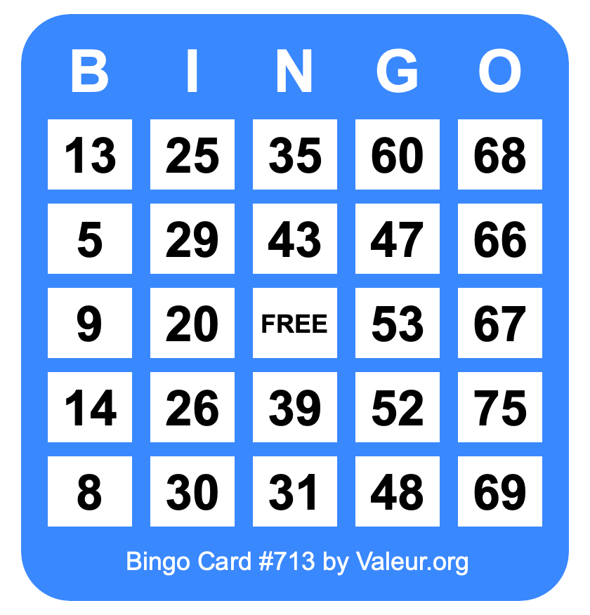 Bingo Card #713